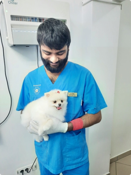 Veterinary Westernvet Corbeanca